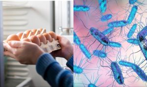 Read more about the article Plaunate vištų kiaušinius ir laikote juos šaldytuvo durelėse? Pasakė, kada tai – tikrai pavojinga