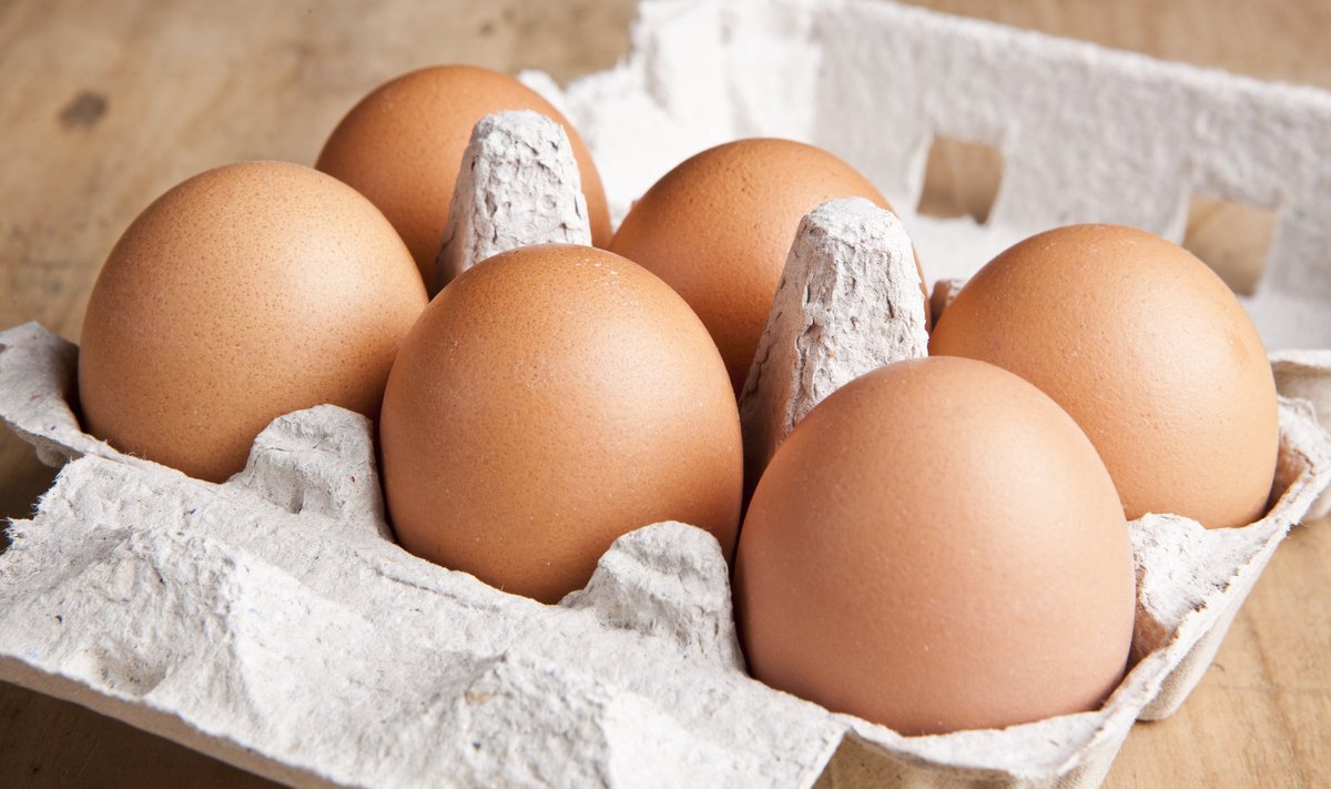 You are currently viewing Kokybiško kiaušinio kelias iki jūsų stalo: nuo lesalo iki laboratorinių tyrimų 
