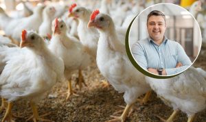 Read more about the article Veterinarijos gydytojas apie tai, kaip Lietuvos ūkiuose auginama kokybiška vištiena 