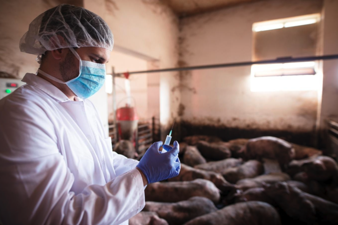 You are currently viewing Ar lenkiška mėsa „prifarširuota“ antibiotikų?